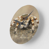 Tarantula Jumping Bird Spider phantastische Zubehö Runde Wanduhr (Winkel)