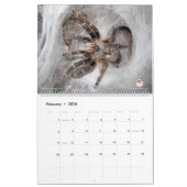 Tarantula-Kalender für 2018 Kalender (Feb 2026)