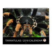 Tarantula-Kalender für 2018 Kalender (Titelbild)