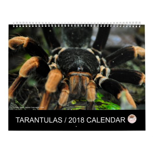 Tarantula-Kalender für 2018 Kalender (Titelbild)