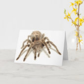 Tarantula Karte (Gelbe Blume)