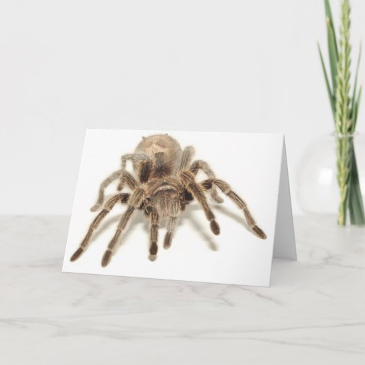Tarantula Karte (Vorderseite)