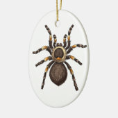 Tarantula Keramik Ornament (Links)