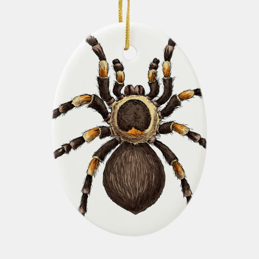 Tarantula Keramik Ornament (Hinten)