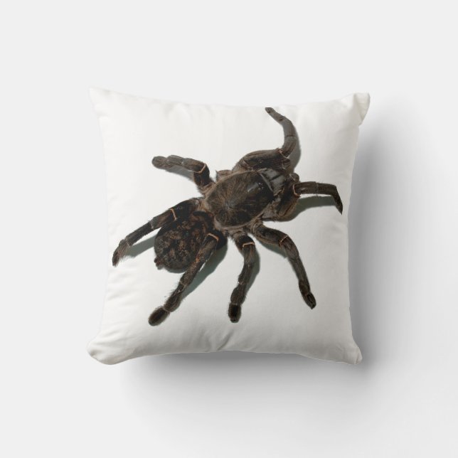 Tarantula Kissen (Vorderseite)