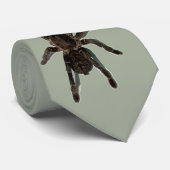 Tarantula Krawatte (Gerollt)