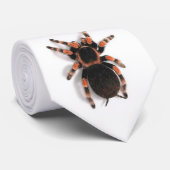 Tarantula-Krawatte Krawatte (Gerollt)