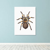 Tarantula Leinwanddruck (Insitu (Holzboden))