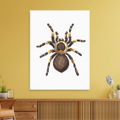 Tarantula Leinwanddruck (Insitu (Wohnzimmer))