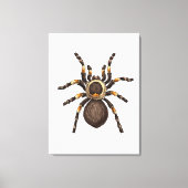 Tarantula Leinwanddruck (Vorderseite)