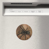 Tarantula Magnet (In Situ (Geschirrspüler))