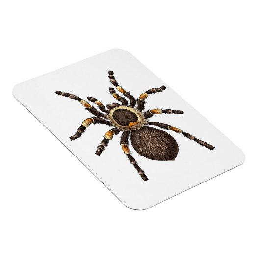 Tarantula Magnet (Rechte Seite)