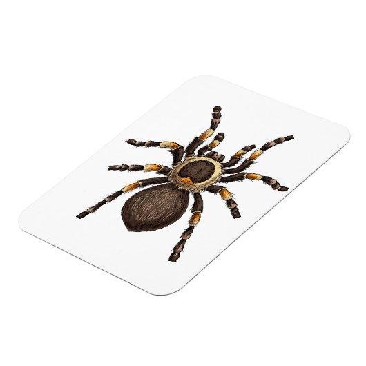 Tarantula Magnet (Linke Seite)