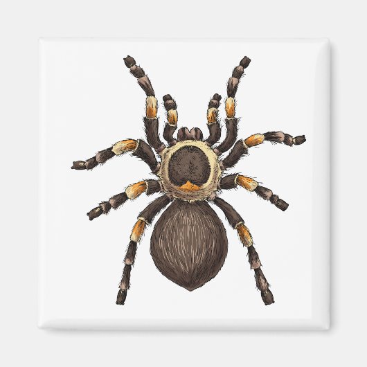 Tarantula Magnet (Vorne)