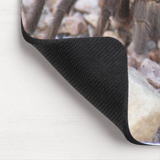 Tarantula Mousepad (Ecke)