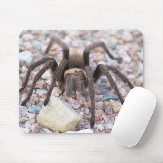 Tarantula Mousepad (Mit Mouse)