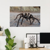 Tarantula Nah hoch Poster (Heimbüro)