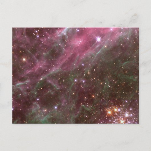 Tarantula Nebula Postcard Postkarte (Vorderseite)