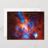 Tarantula Nebula Postkarte (Vorne/Hinten)