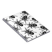 Tarantula Notizblock (Rechte Seite)
