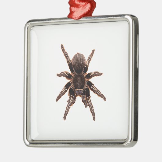 Tarantula Ornament Aus Metall (Links)