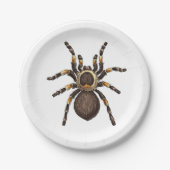 Tarantula Pappteller (Vorderseite)