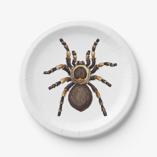 Tarantula Pappteller (Vorderseite)