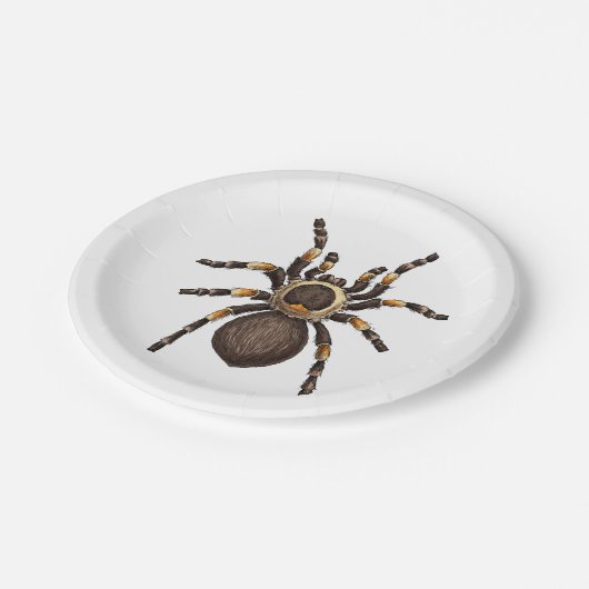 Tarantula Pappteller (Schrägansicht)