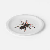 Tarantula Pappteller (Schrägansicht)