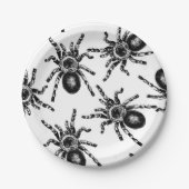 Tarantula Pappteller (Vorderseite)