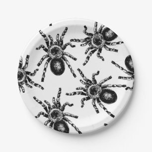 Tarantula Pappteller