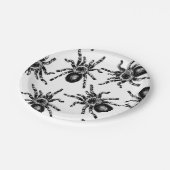 Tarantula Pappteller (Schrägansicht)