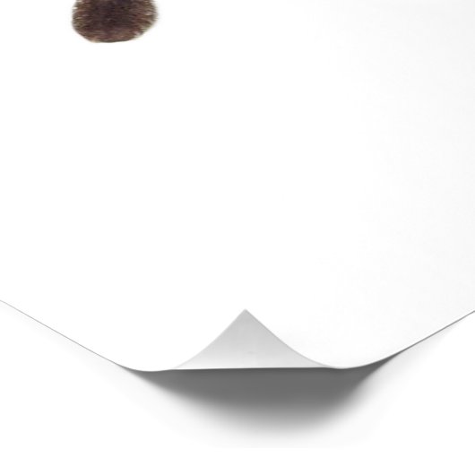 Tarantula Poster (Ecke)