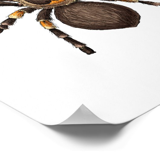 Tarantula Poster (Ecke)