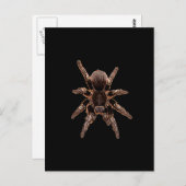 Tarantula Postkarte (Vorne/Hinten)