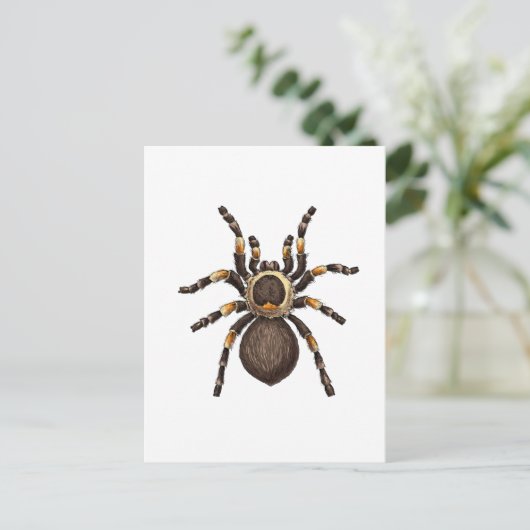 Tarantula Postkarte (Stehend Vorderseite)