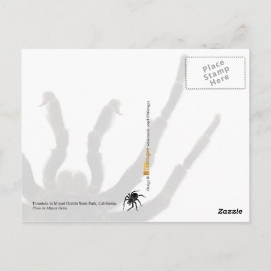 Tarantula Postkarte (Rückseite)