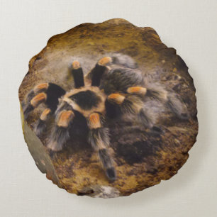 Tarantula Round Pillow Rundes Kissen
