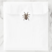 Tarantula Runder Aufkleber (Tasche)