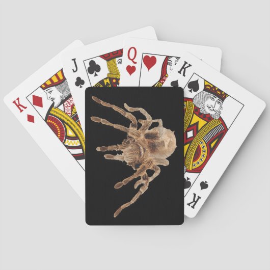 Tarantula-schlichte Spielkarten (Rückseite)