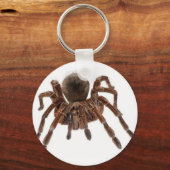 TARANTULA SCHLÜSSELANHÄNGER (Vorderseite)