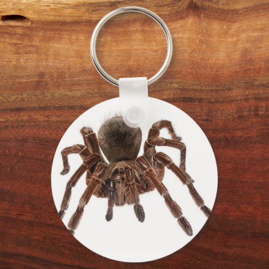 TARANTULA SCHLÜSSELANHÄNGER (Vorderseite)