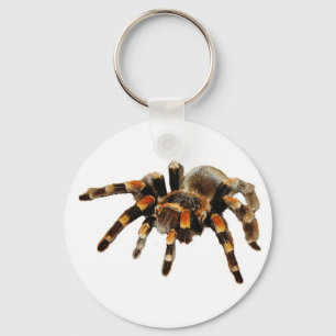 Tarantula Schlüsselanhänger