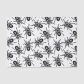 Tarantula Seidenpapier (Vorderseite)