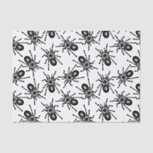 Tarantula Seidenpapier