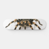Tarantula Skateboard (Horizontal)
