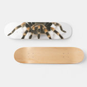 Tarantula Skateboard (Horizontal)