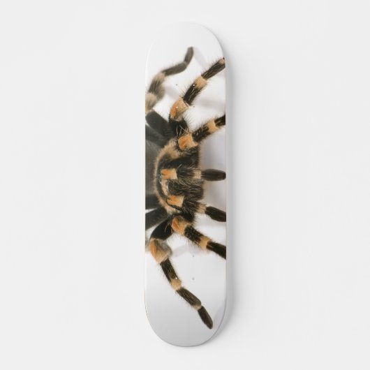 Tarantula Skateboard (Vorne)
