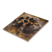 Tarantula Small (4,25" x 4,25") Keramik Foto Tile Fliese (Seite)