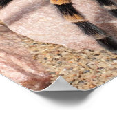 Tarantula Spider Poster (Ecke)